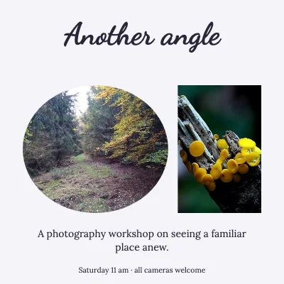 Another angle · soft wellness