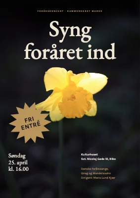 Forårskoncert — påskelilje og guldstjerne