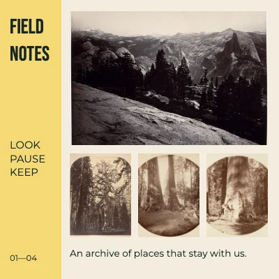 The wild notebook