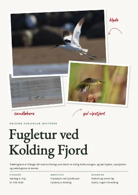 Fugletur ved fjorden — forårsmorgen
