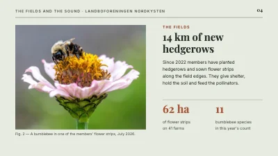 Page 4 of Sustainable farming — the fields and the Sound