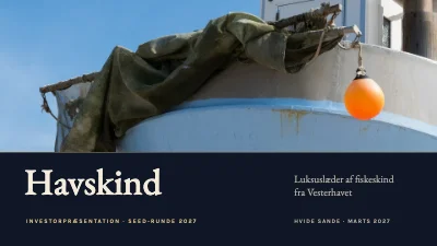 Investorpitch — startup fra Vestkysten
