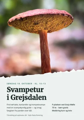 Svampetur — revet foto
