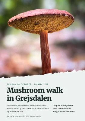 Mushroom walk — torn photo
