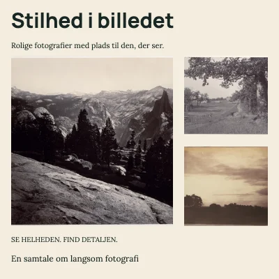 Stilhed i billedet · Tre trin