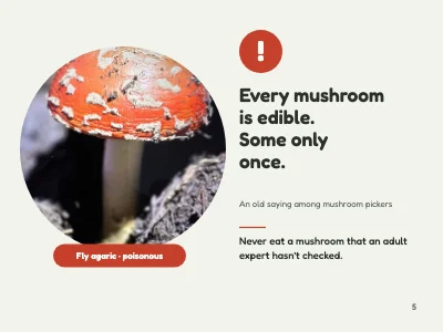 Page 5 of Biology lesson — fungi