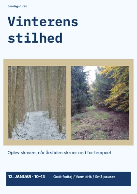 Vinterens stilhed