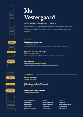 CV til fysioterapeut