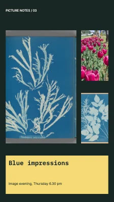 Blue impressions · Contact sheet
