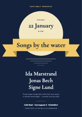 Singer-songwriter night — poster