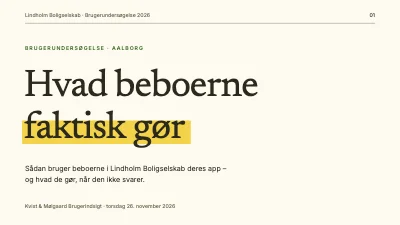 Brugerundersøgelse — fund og anbefalinger
