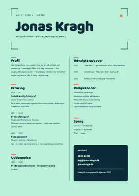 CV til fotograf