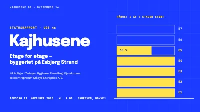 Byggeprojekt — statusmøde