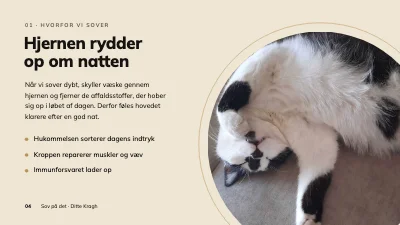 Side 4 af Foredrag om søvn — Sov på det