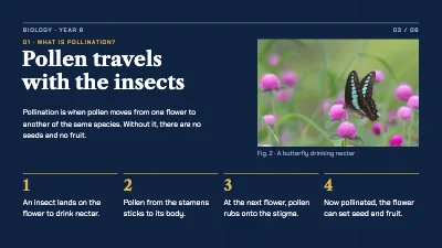 Page 3 of Biology lesson — pollination