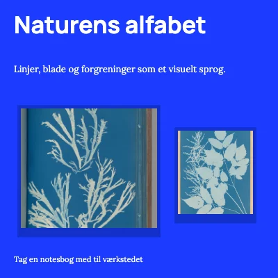 Naturens alfabet · Udstillingsvæg