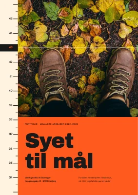 Portfolio — skobutik og skomager