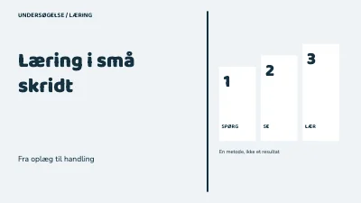 Læring i små skridt