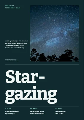 Stargazing night in the park — poster