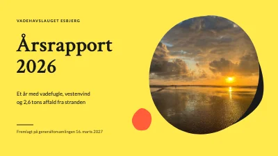 Årsrapport — naturforening ved Vadehavet