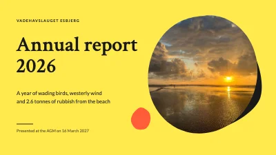 Annual report — Wadden Sea nature group
