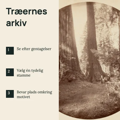 Træernes arkiv · Fototjekliste