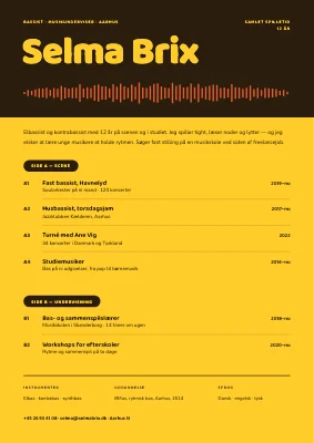 CV til musiker — albumbagside