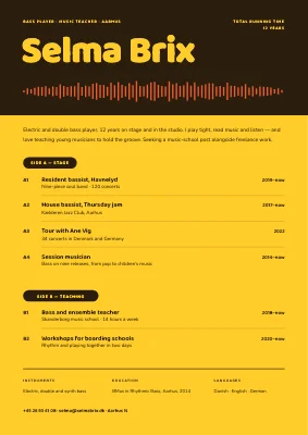 Musician CV — album back cover