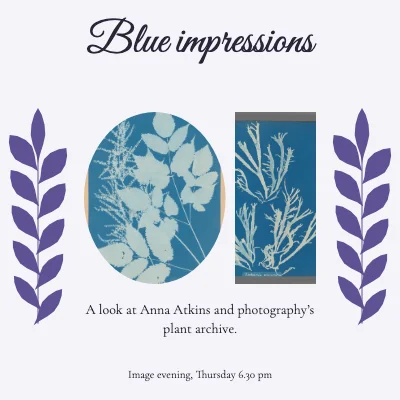 Blue impressions · botanical letter