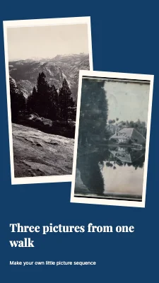 Three pictures from one walk · Two prints