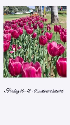Side 3 af Blomsterfredag · Botanisk brev