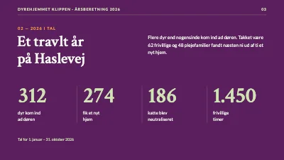 Side 3 af Dyrevelfærd — årsberetning for dyrehjem