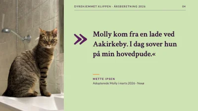 Side 4 af Dyrevelfærd — årsberetning for dyrehjem