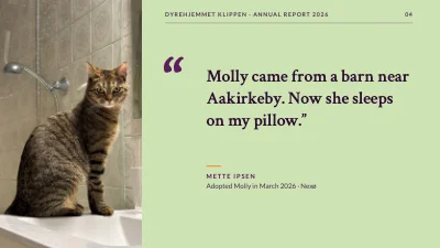 Page 4 of Animal welfare — animal shelter annual report