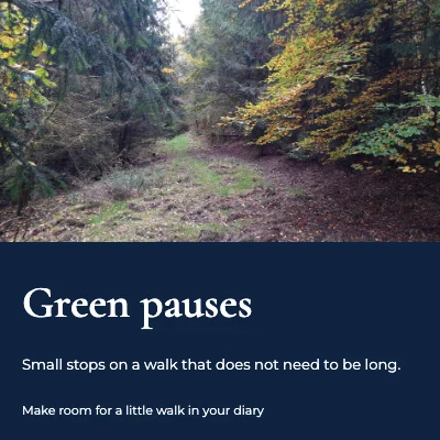 Green pauses · panorama serif