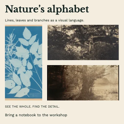 Nature’s alphabet · Magazine spread