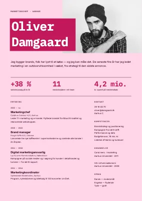 CV til marketingchef — portræt og nøgletal
