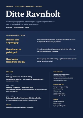 CV til pædagog — interview