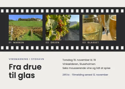 Vinsmagning — filmstrimmel