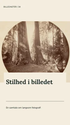 Stilhed i billedet · Panoramakort