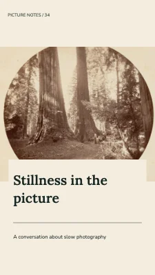 Stillness in the picture · Panoramic card