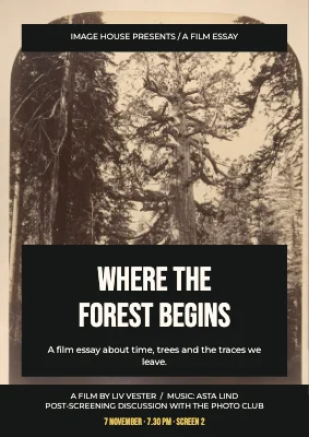 Where the forest begins
