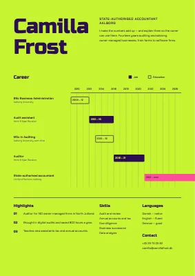 Accountant CV with a Gantt timeline