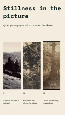 Stillness in the picture · Three photographs