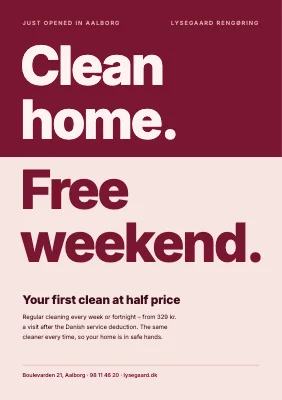 Cleaning company — just opened, opening offer