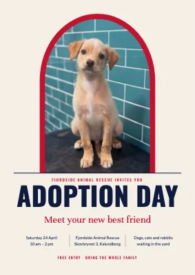 Adoption day at the animal rescue