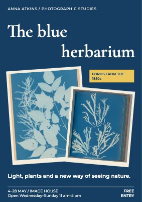 The blue herbarium