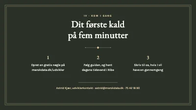 Side 6 af API-introduktion — tidevandsdata