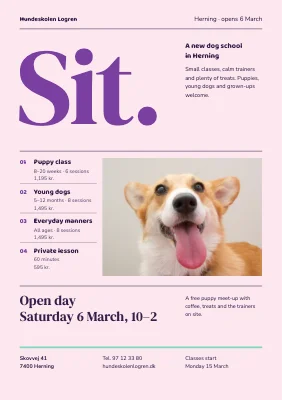 Dog training school — opening and new classes