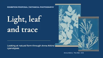 Page 1 of Light, leaf and trace